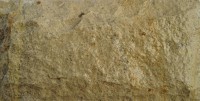 /album/pedra-golden/img-0154-jpg/